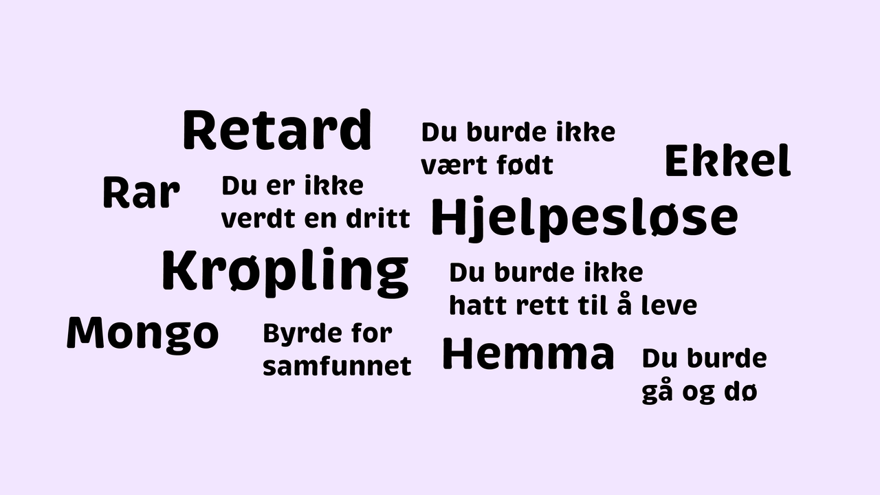 Ordsky med hatefulle ytringer. Blant dem er retard, hemma, du burde ikke vært født, mongo, byrde for samfunnet, du burde gå og dø og krøpling.