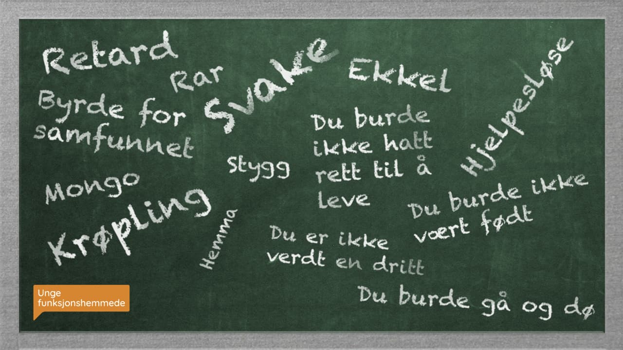 På en grønn tavle står det flere ord og setninger i hvit skrift. Ordene og setningene er: retard, Byrde for samfunnet, rar, svake, ekkel, mongo, krøpling, stygg, hemma, Du burde ikke hatt rett til å leve, Du er ikke verdt en dritt, Du burde ikke vært født, Du burde gå og dø, Hjelpesløse
